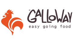 logo_galloway_corretto